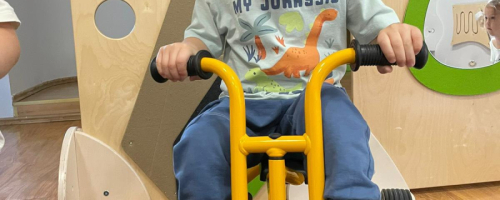 Biedronki - Mistrzowie ruchu drogowego